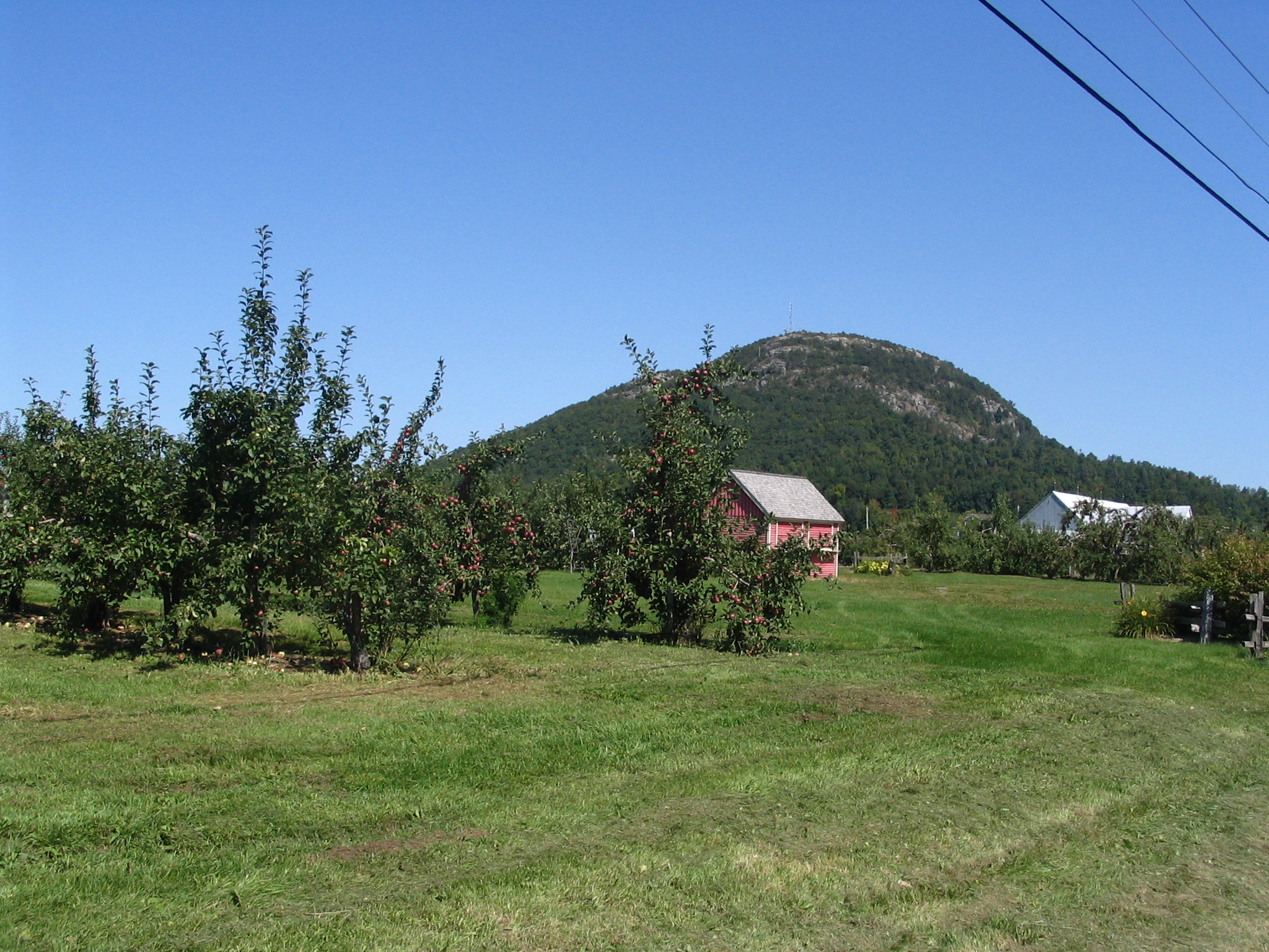 pomme et Mont