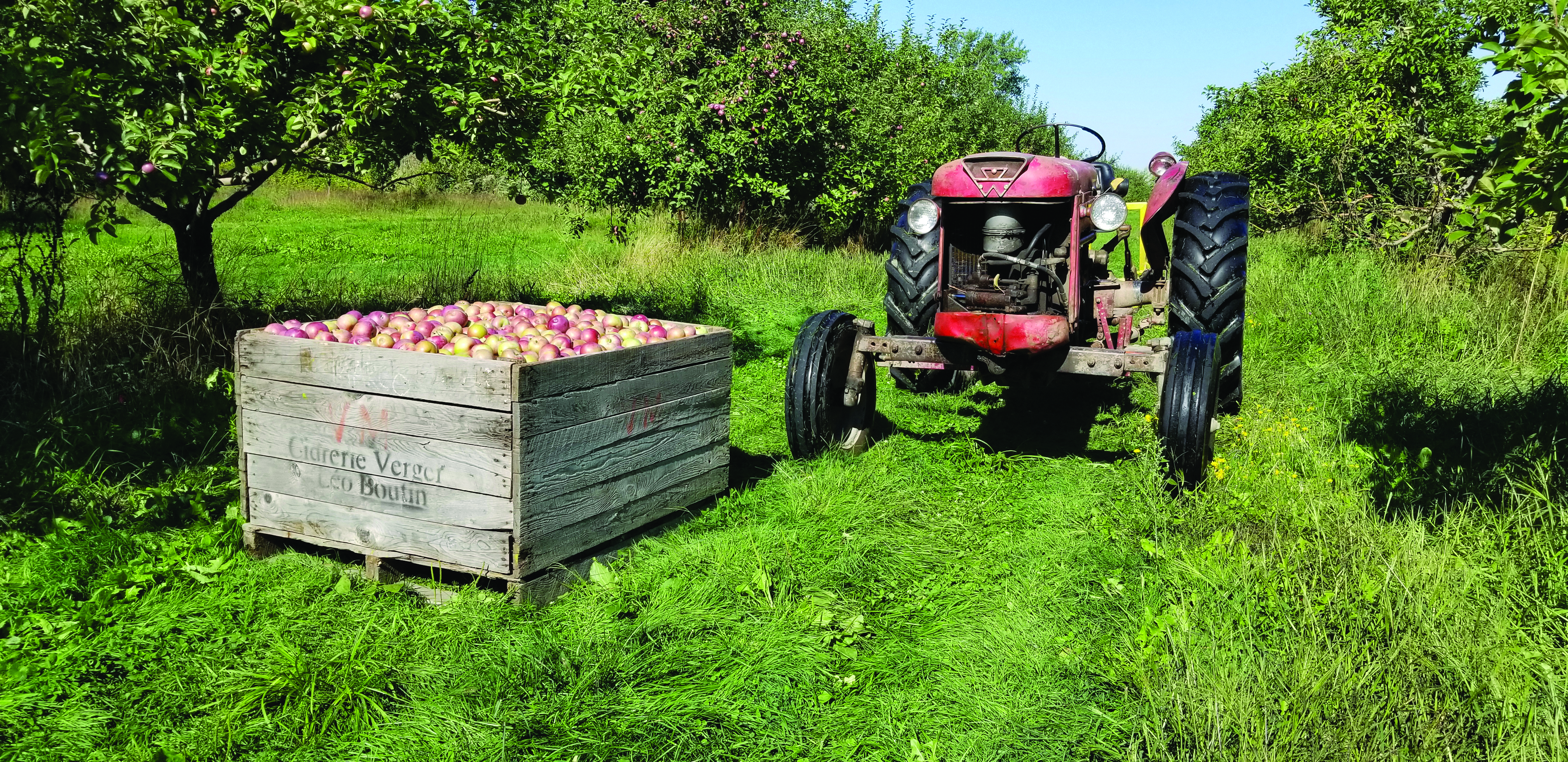 Verger et tracteur