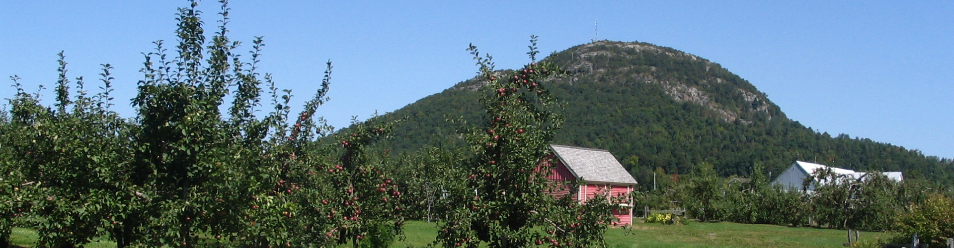 Mont-Saint-Grégoire