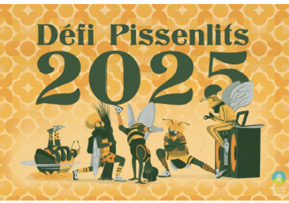 Défi pissenlits 2025
