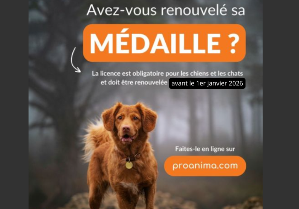 Renouvellement médailles chiens et chats Renouvellement médailles chiens et chats