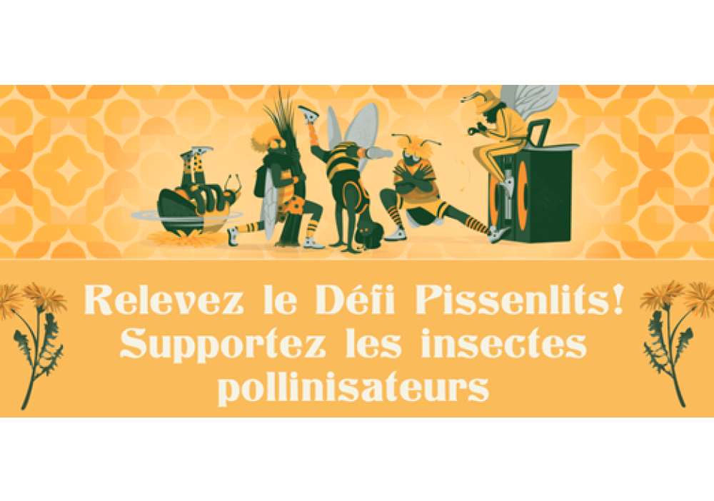 Défi pissenlits 2026